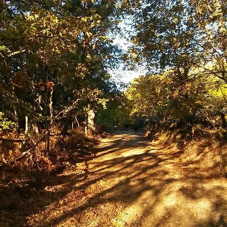 Rural Porta Coeli - Dehesa Santa Lucia 3*